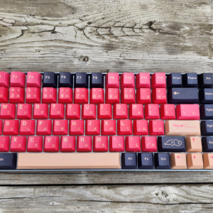 Custom mechanical keyboard1